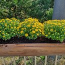 대가보건지소 이미지