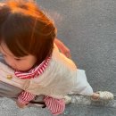 양양오션뷰애견펜션바다빛무지개 | 양양애견동반펜션) 양양바다빛무지개펜션 오션뷰애견펜션 (아기랑강아지랑)
