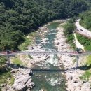 동해-단속-44 이미지