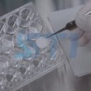 (주)에스티원 네이버블로그