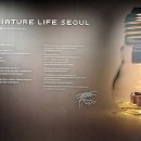 키무그래픽