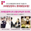 나우롯데포항