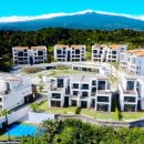 빌라드골프 이미지