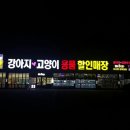 이츠펫(광혜원점) 이미지