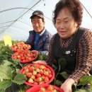 김현중농장 이미지