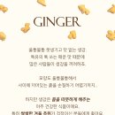 코코진저 이미지