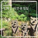 목공예(오전) | 청태산자연휴양림 목공예체험 숲체험 아이와 가볼만한 곳 2박3일 후기