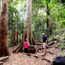 골드 마운틴77 이미지