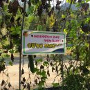 초우목장 이미지