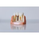 덴티치과의원 이미지