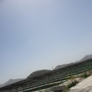 한동 태양광발전소 이미지