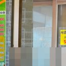 싱그랭이 티스토리