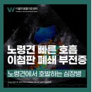 더블유인천심장동물병원
