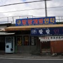 팔팔인력 Daum카페