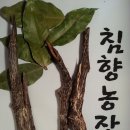 침향 agarwood 이미지