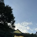 수국사 | [은평구] 수국사 체험형 템플스테이 솔직후기