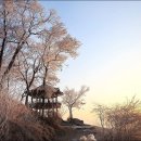 여주-0655 티스토리