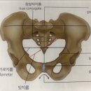 안산출장마사지 이미지