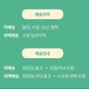바른아기반찬 | [화성/동탄] 수원 아기 반찬 <바른아기반찬> 새벽 배송 후기