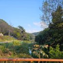 부엉이민박 | 진천 명품 휴미락 캠핑장: 숲속 힐링 끝판왕! 넓은 사이트 &amp; 밤하늘 별 구경 명소 [251025-26]