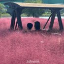 낙동가람 이미지