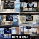 샘멀티샵 | 안동 탑썬팅 기아 스팅어 열차단 90% 블루 열반사 썬팅 시공 후기｜프리미엄 썬팅 전문점 추천