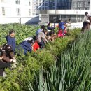 시립광교동어린이집 이미지