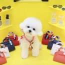 원 그루밍 이미지