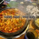 바다속친구들