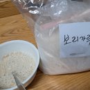 처음 담아보는 대파김치 이미지