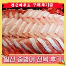 강성씨푸드