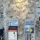 백두조경 | 평택 오성면 백두수산 거대장어 솔직 이용 후기