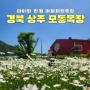 모동모동 | 경북 상주 모동목장, 대구근교 아이랑 양떼 체험목장(애견동반가능)