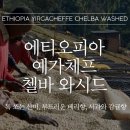 알트로