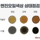 오토 오아시스 이미지