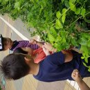 섭리어린이집 이미지