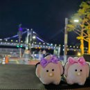 우연노래연습장 이미지