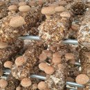 대인농장 이미지