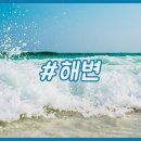 해변의 꿈 이미지