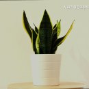 이글케어 협동조합 | 학성동요양원 사회적협동조합마르페케어 편안한 돌봄이 있는