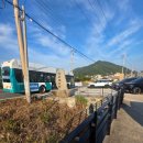 카르페디엠 | 여수 돌산도 애견동반 펜션 추천, 오션뷰 끝판왕 ‘카르페디엠펜션’ 반려견 수영장부터 케어룸까지!