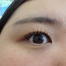 디자인포인트 - 남양주시 다산지금로 202 | 하남 미사 속눈썹 ‘그레이스룸’ 펌포인트연장 솔직후기! 눈매맞춤 디자인으로 대변신