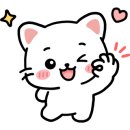 쥬니버스 네이버블로그