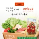 (주)웰리브 다정도시락 | 일주일 비건 집밥 기록, 정고메x어글리어스 제철 채소 박스 출시🌿