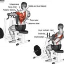 와이비짐 이미지