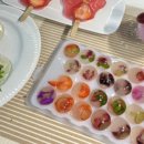 젤리통통 이미지