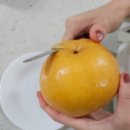 달콤한 농부 | [팜씨농부] 달콤한 배 시식 후기