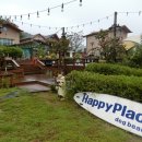 속초 애견펜션 양양 해피 플레이스 이미지