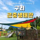 구리 아이랑 가볼만한곳｜무료 곤충박물관 구리곤충생태관 애벌레 체험 후기
