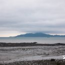 BOHENA(보헤나) 이미지